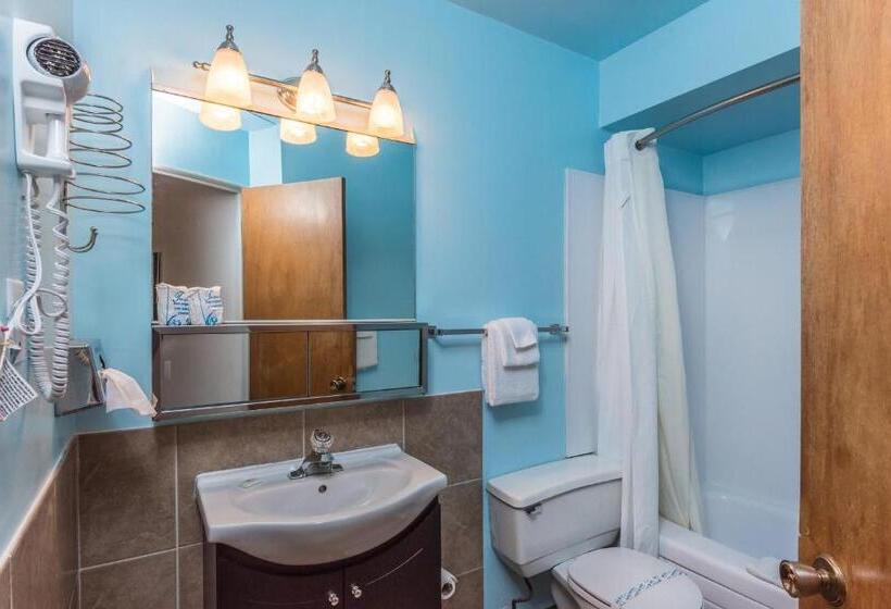 스탠다드 룸, Bluebird Motel