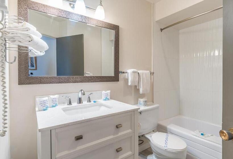 디럭스 룸, Bluebird Motel