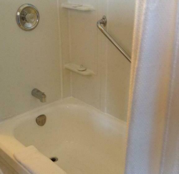 带2个双人床的标准工作室, Hopewell Rocks Motel & Country Inn