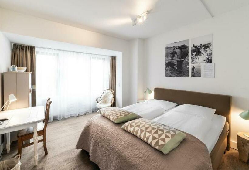 חדר סטנדרט עם טרסה, Het Vlieland