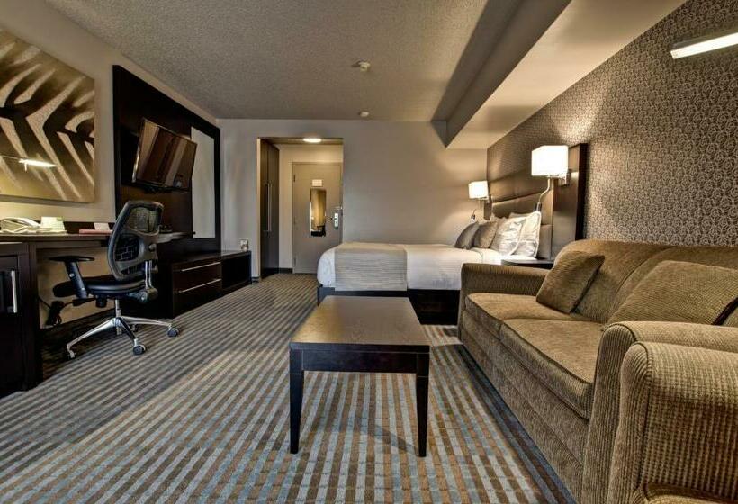 غرفة قياسية, Nouvellefrontiere