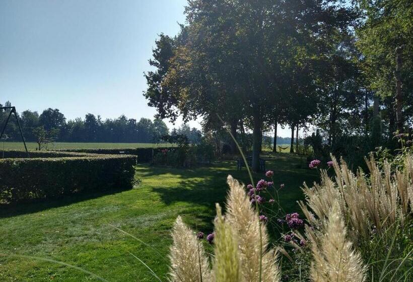 컴포트 룸, B&b Hotel De Joremeinshoeve