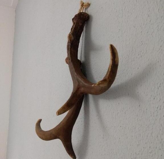 이코노미 싱글 룸, B&b Hotel De Joremeinshoeve