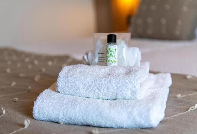 テラス付きスタンダードルーム, Rooms