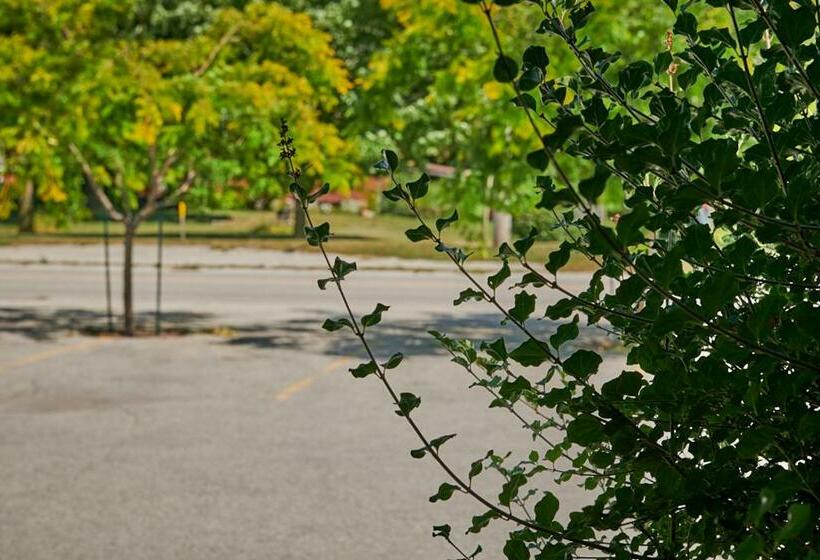 Mozgáskorlátozott Standard Szoba Queen Size Bed, Samuels Boutique