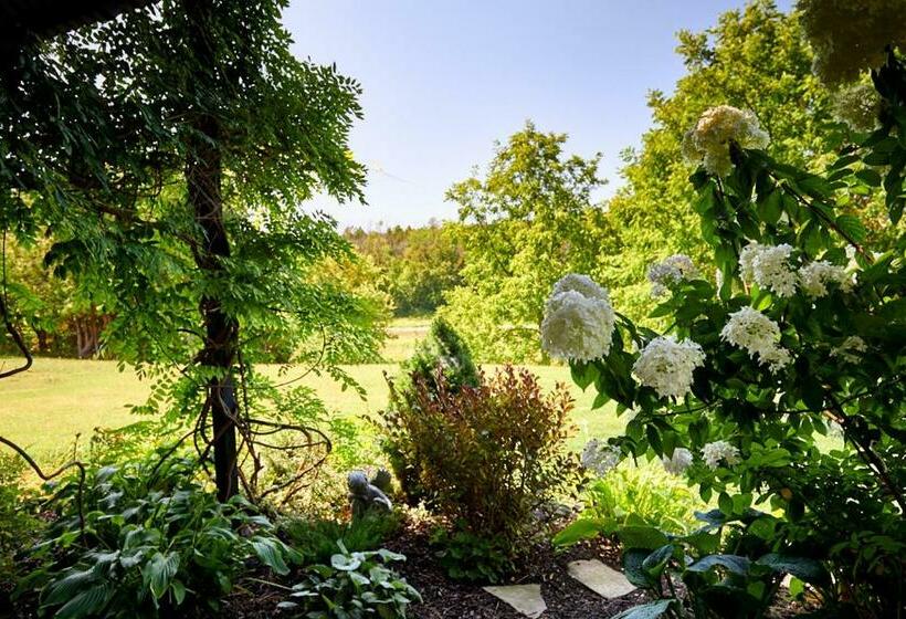 Standard Szoba King Size Bed, Samuels Boutique