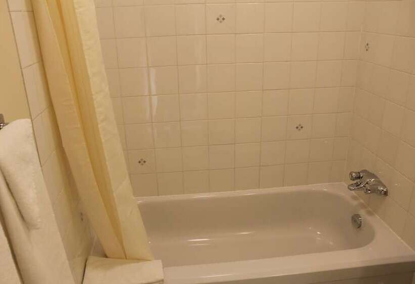 스탠다드 룸 더블 침대 2개, Motel Du Parc Secteur Hull