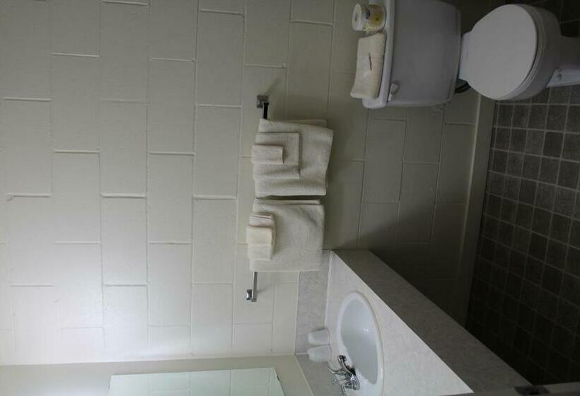 חדר סטנדרט, Pacific Rim Motel