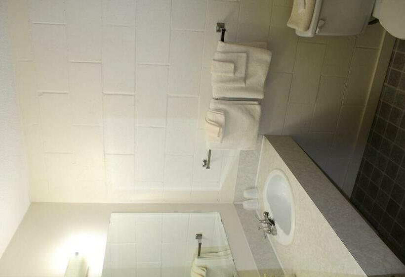 חדר סטנדרט, Pacific Rim Motel