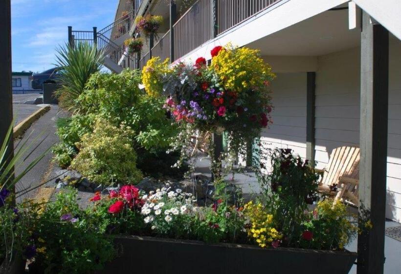 חדר סטנדרט, Pacific Rim Motel