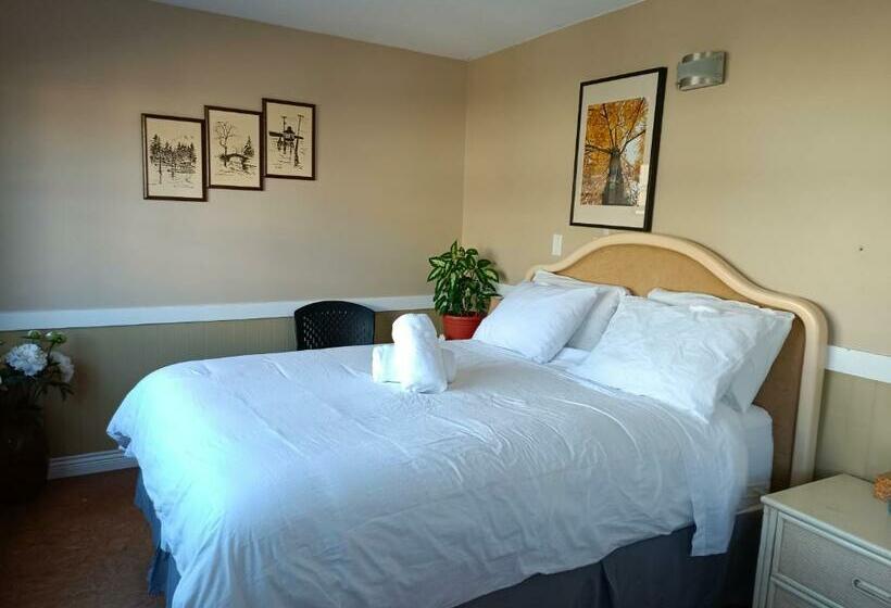 스탠다드 룸 공동 욕실, Painted Turtle Guesthouse