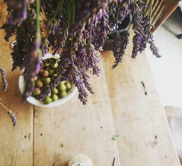 جناح, Gîte Aux Jardins De L Anse