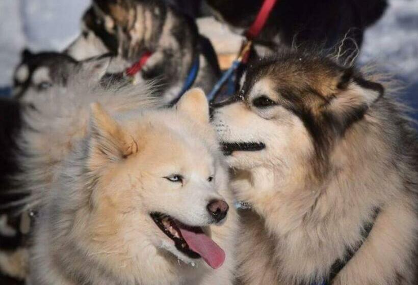 جناح, Gîte Aux Jardins De L Anse