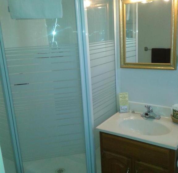 غرفه قياسيه سريرين مزدوجين, Capricorn Motel Royale 1000 Islands