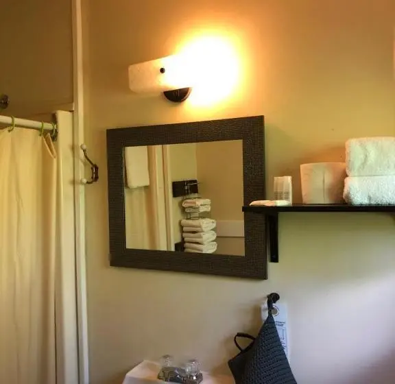 Economy-huone, Greenside Motel
