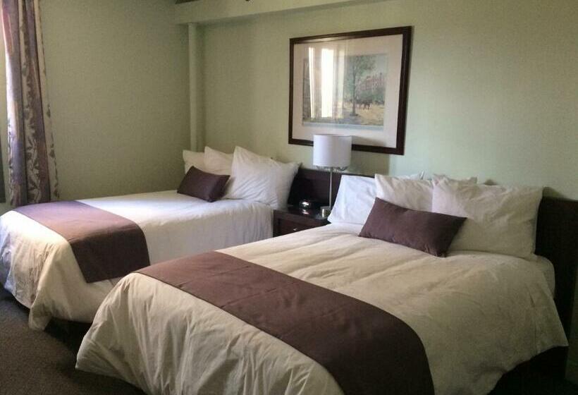 스탠다드 룸 더블 침대 2개, Auberge Centre Ville