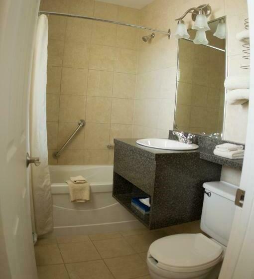 带2个双人床的标准工作室, Falls Manor Resort