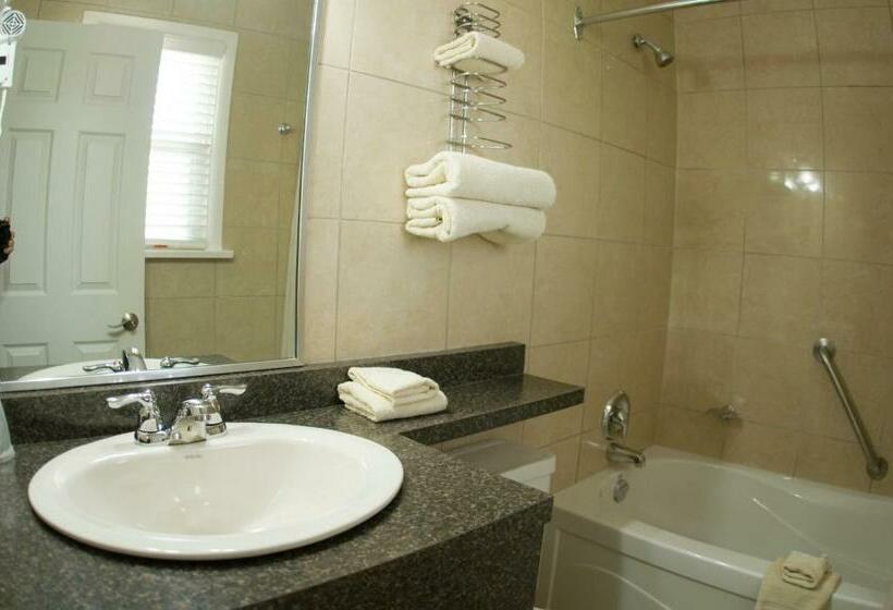 带2个双人床的标准工作室, Falls Manor Resort