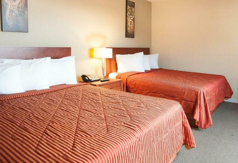 标准间, Le Mirage