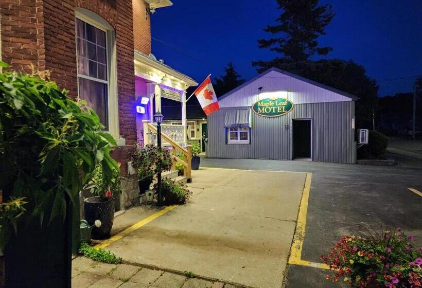Standard Værelse 2 Dobbeltsenge, Maple Leaf Motel