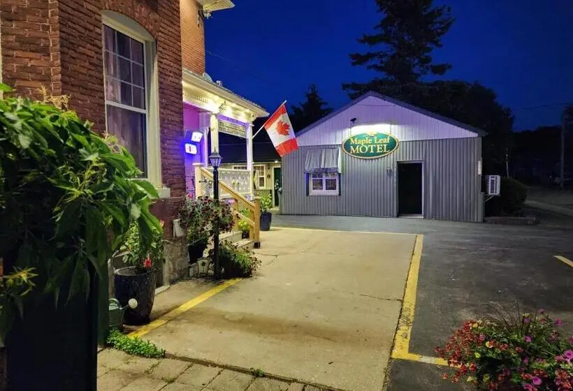 Standard Szoba, Maple Leaf Motel