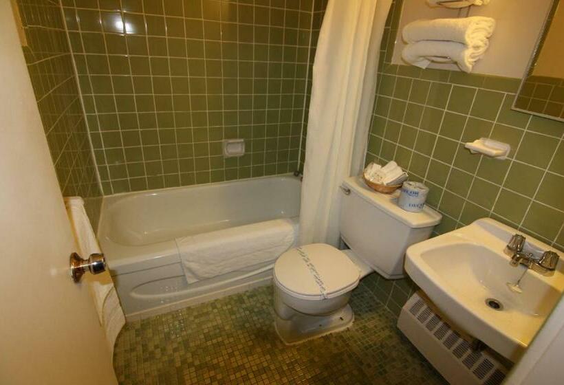 스탠다드 룸 더블 침대 2개, Motel Panoramique