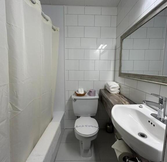 스탠다드 룸, Motel Panoramique