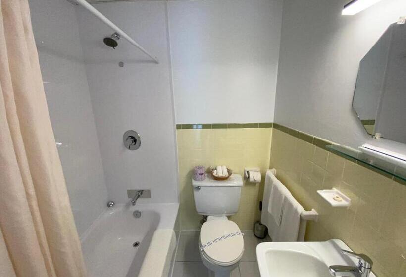 스탠다드 룸, Motel Panoramique