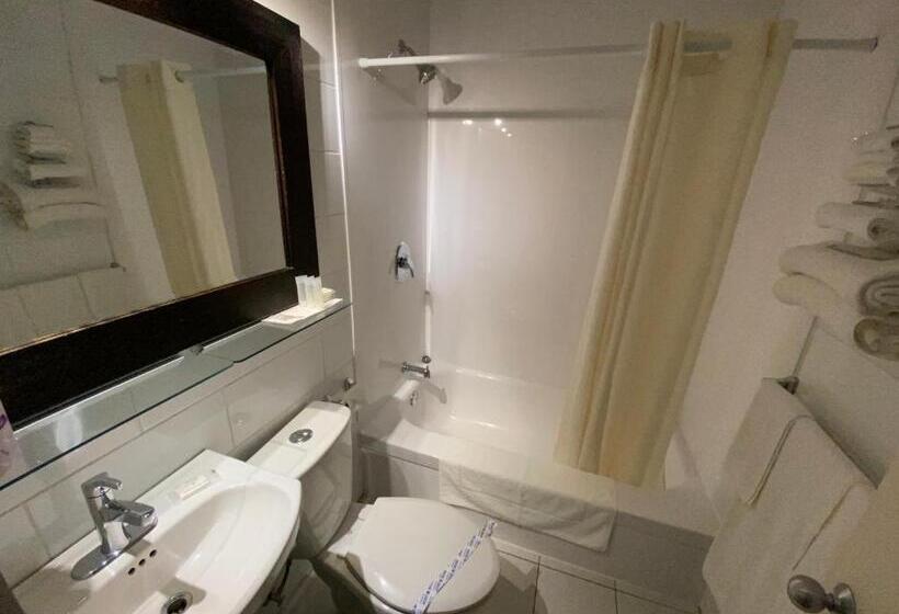 스탠다드 룸 더블 침대 2개, Motel Panoramique