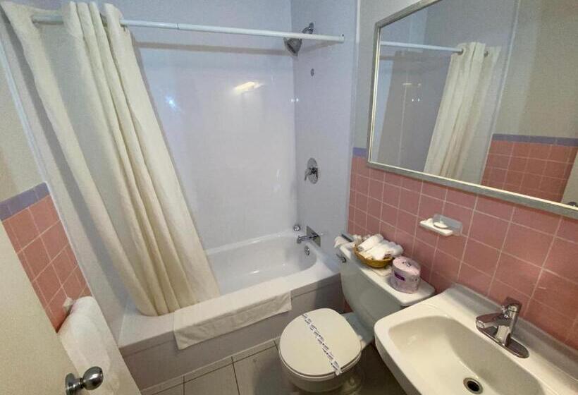 스탠다드 룸 더블 침대 2개, Motel Panoramique