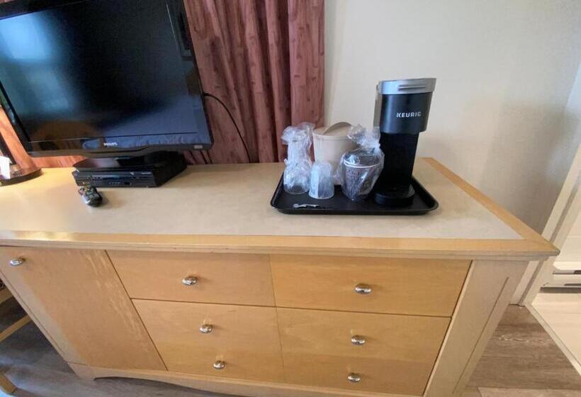 이코노미 룸, Motel Panoramique