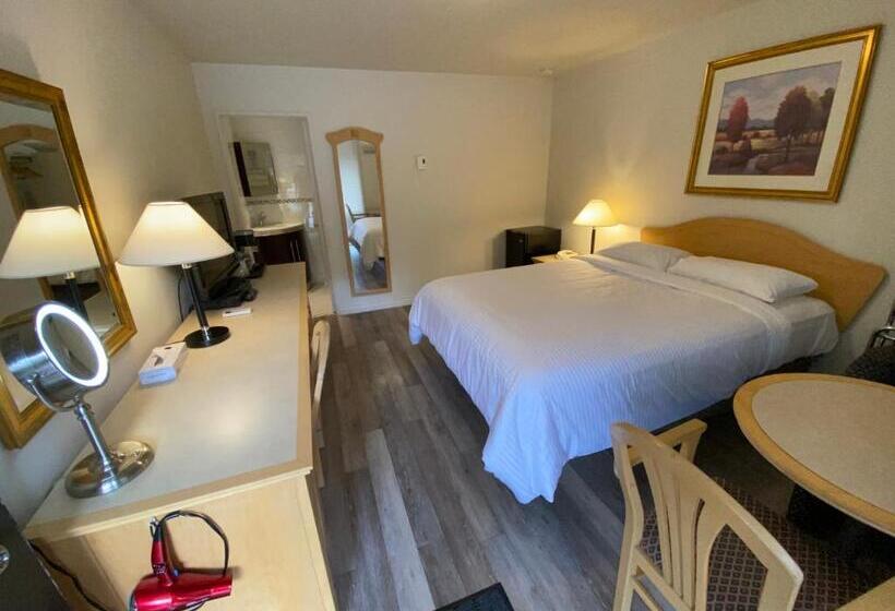 기본룸, Motel Panoramique