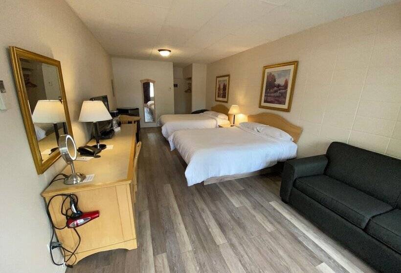 스탠다드 룸 더블 침대 2개, Motel Panoramique