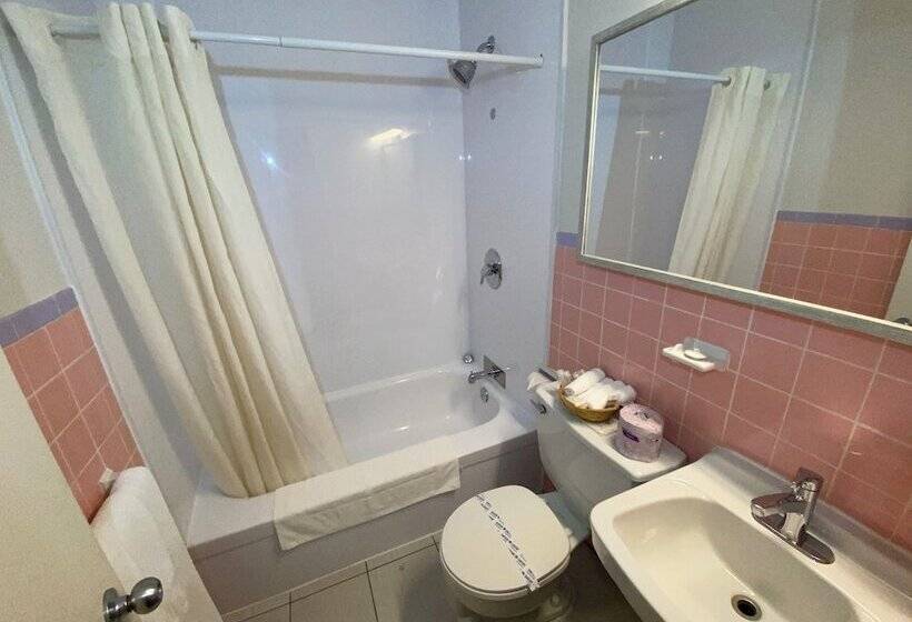 스탠다드 룸 더블 침대 2개, Motel Panoramique