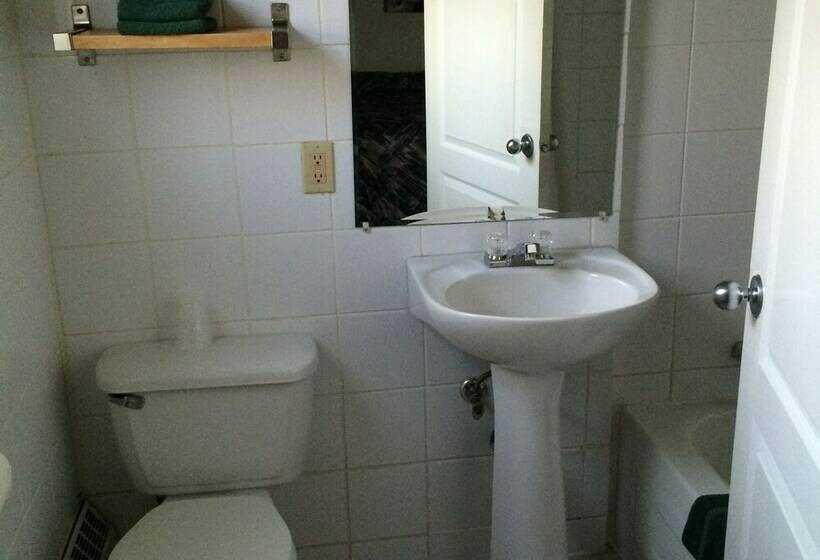 غرفه قياسيه سريرين مزدوجين, Raccoon Lodge Motel