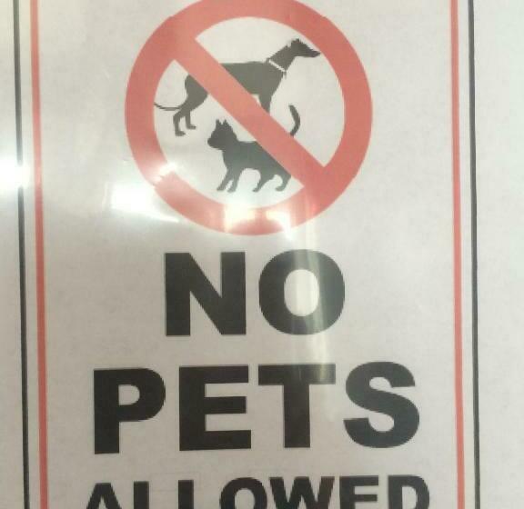 חדר סטנדרט, Trunk Road Motel