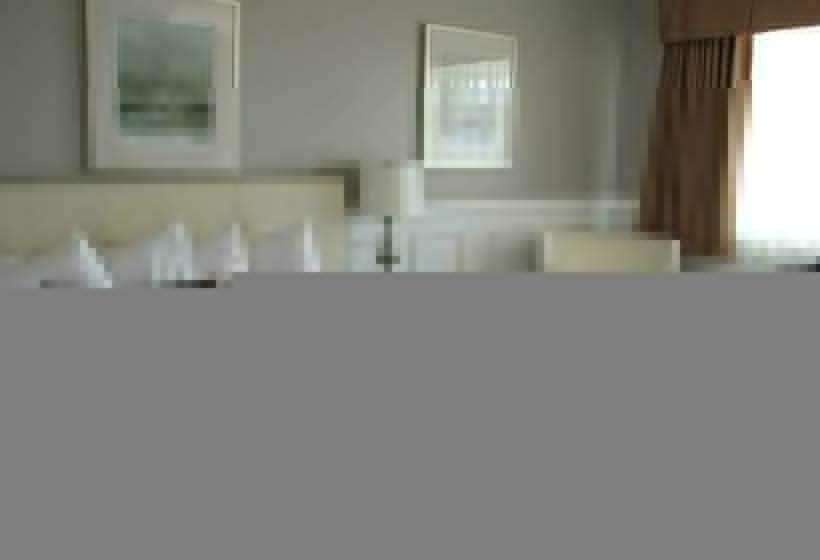 디럭스 룸, Willow Bend Motel