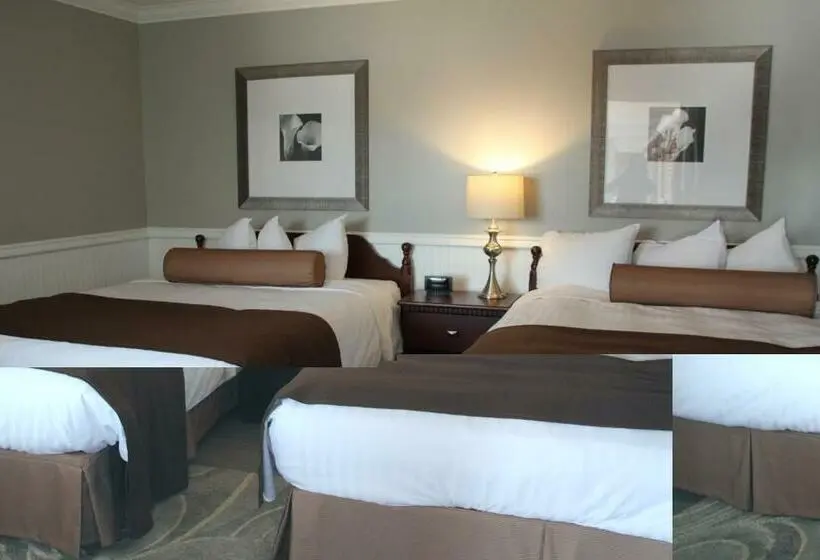Deluxe-huone, Willow Bend Motel