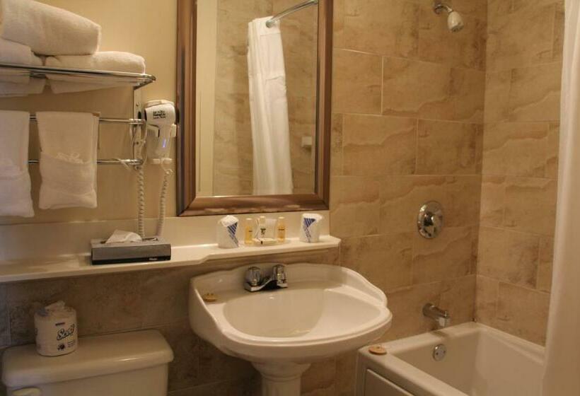 스탠다드 룸 더블 침대 2개, Willow Bend Motel