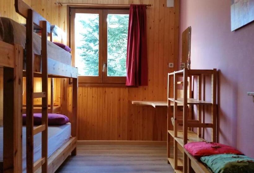 اتاق استاندارد چهارنفره با سرویس بهداشتی مشترک, Xalet Refugi Pere Carne