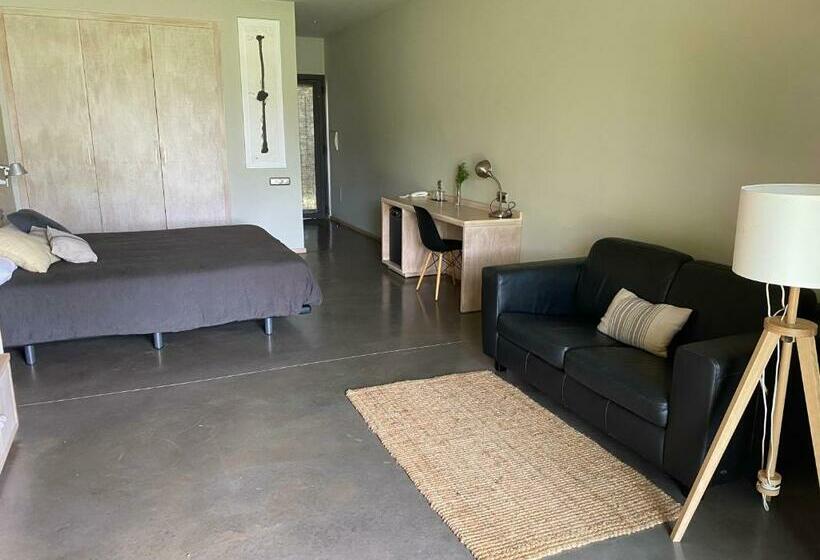 חדר סטנדרט, Fundació L'olivar