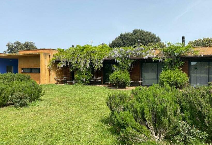 חדר סטנדרט, Fundació L'olivar