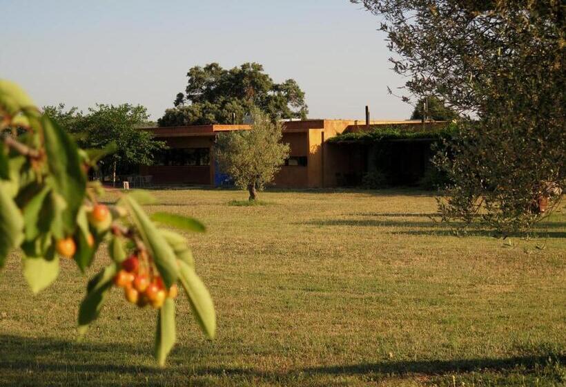 חדר סטנדרט, Fundació L'olivar