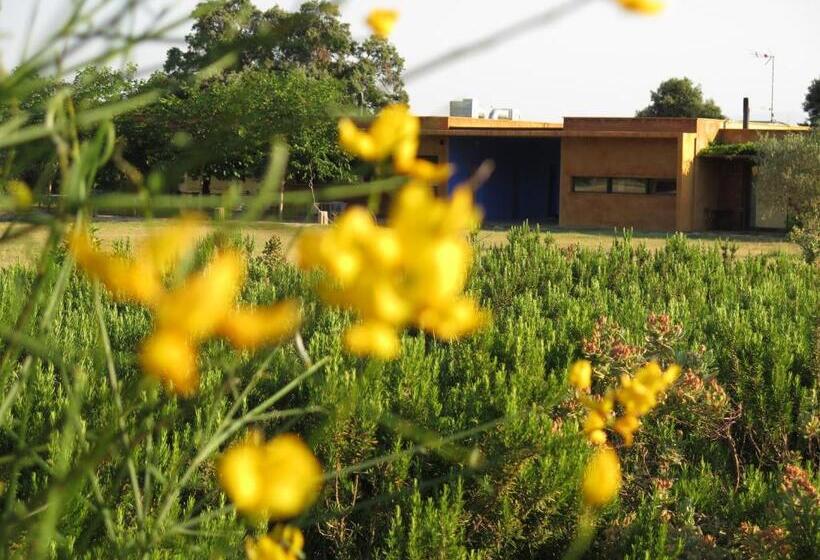 חדר סטנדרט, Fundació L'olivar