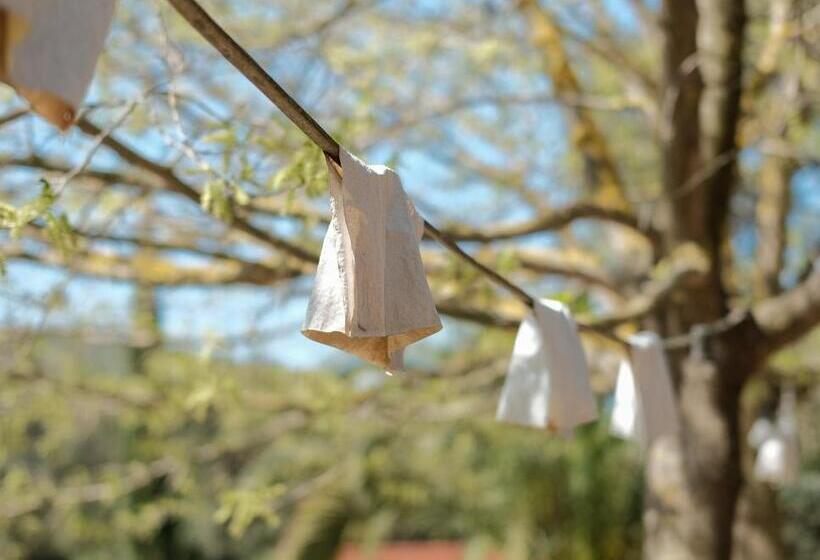 Standard Tent, Fundació L'olivar