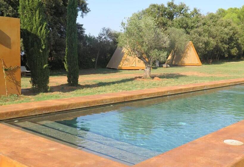 Standard Tent, Fundació L'olivar