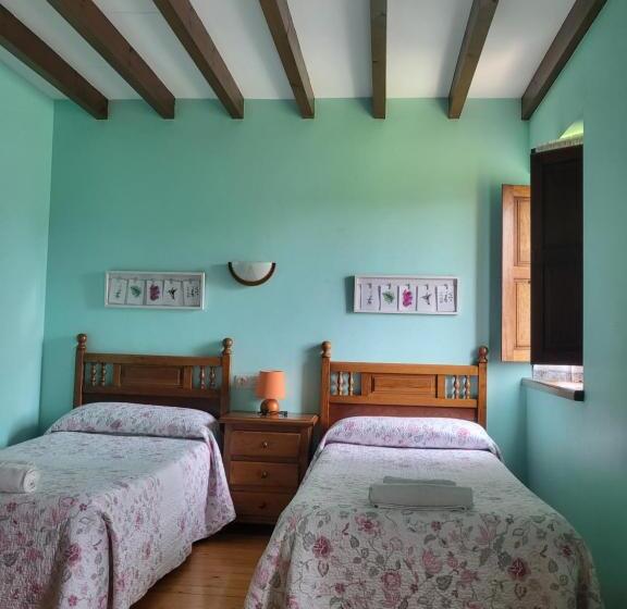 Номер Стандарт, Posada Los Taranos