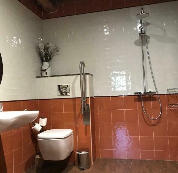 غرفة قياسية لذوى الاحتياجات الخاصة, Casona De El Castaniu