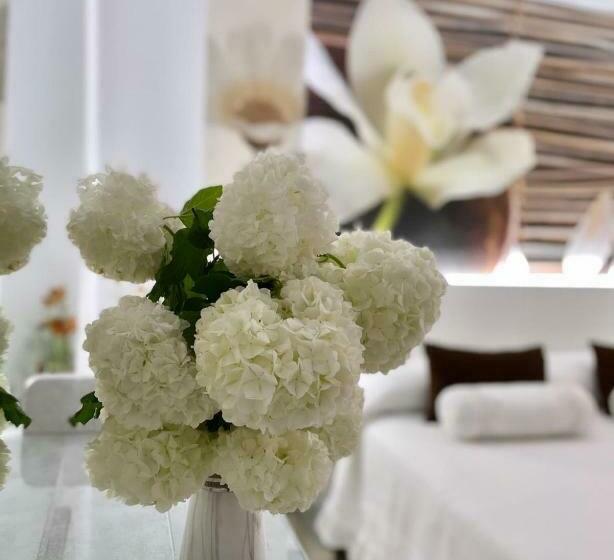 标准间, El Jardin