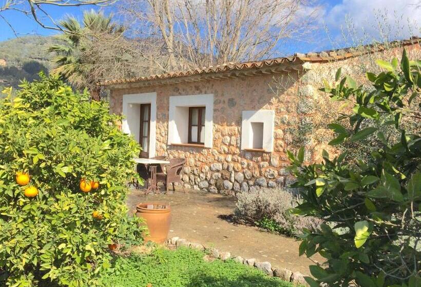 غرفة سوبيريور مزوَّدة بتراس, Finca Cas Sant